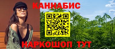 крисы Кандалакша