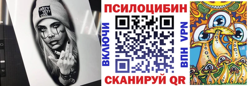 Галлюциногенные грибы Psilocybe  Мурманск 