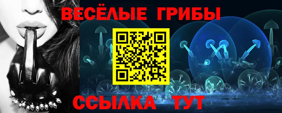 Псилоцибиновые грибы GOLDEN TEACHER Мурманск