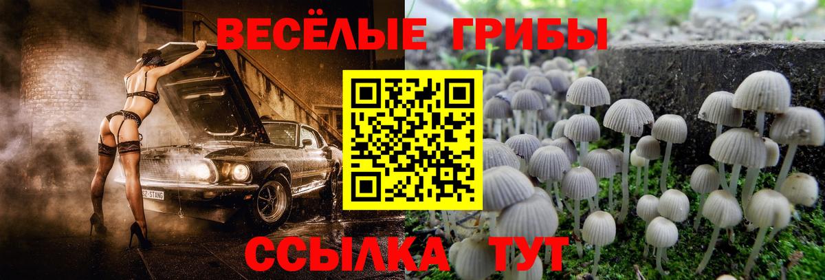 Alpha-PVP СОЛЬ кристаллы  Гашиш  Вход с VPN  Канабис  Меф МЯУ МЯУ  Кокаин  Мефедрон кристаллы  Мурманск  Цена  АМФ кристаллы 